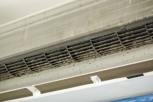 Best HVAC Duct Inspection Services  in Utqiagvik, AK